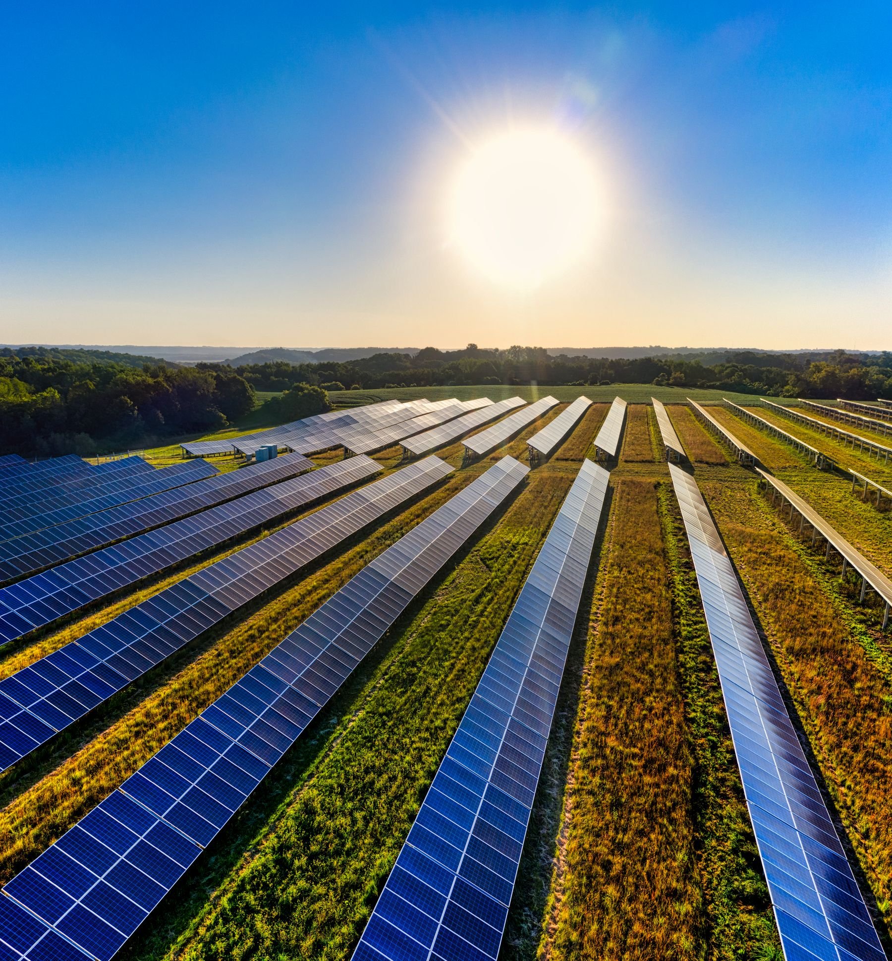 Aerial view of rows of solar panels running through a crop field under a bright sun